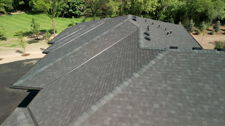 Best Roof Moss and Algae Removal  in Palmview South, TX