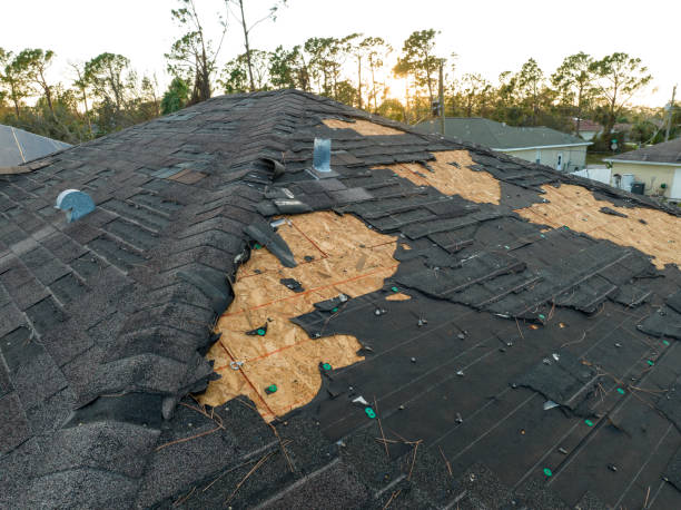 Hot Roofs in Palmview South, TX