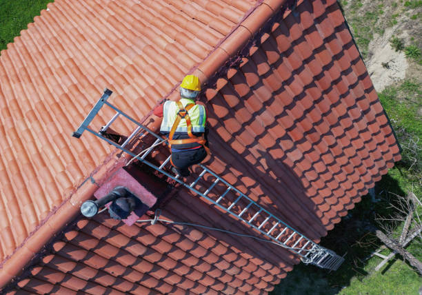 Best Asphalt Shingle Roofing  in Palmview South, TX