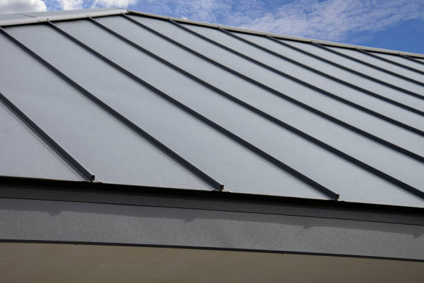 Best Metal Roofing Installation  in Palmview South, TX